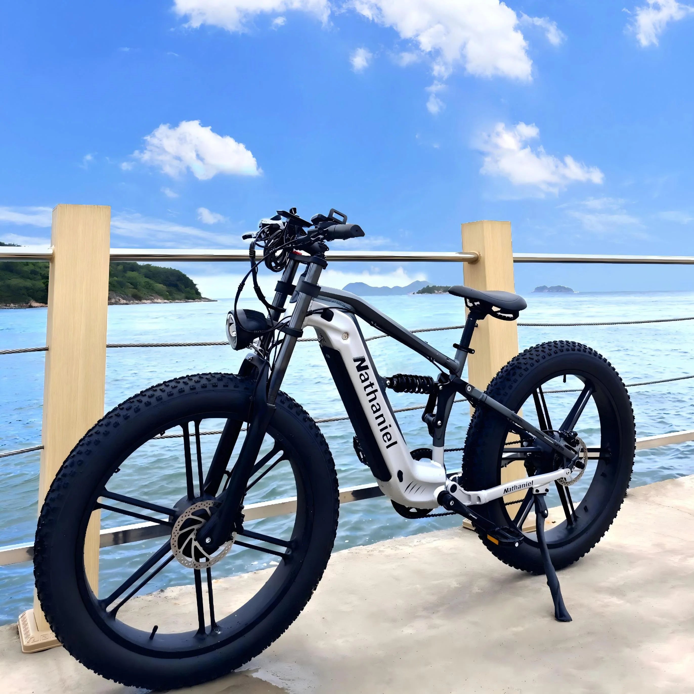 Nathaniel SYR09 Electric Bike 2000W Dual Motor,26*4.0 Fat Tire Integrated Wheel,48V20Ah,55KM/H,All-Terrain Outdoor Sports E-bike